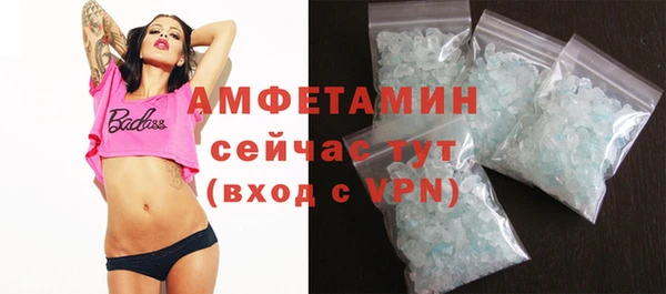 стафф Гатчина