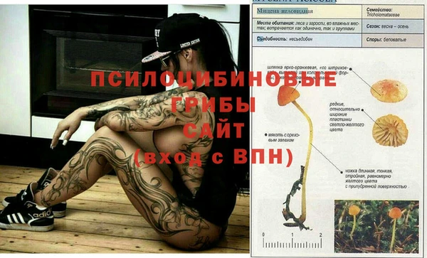 каннабис Рославль
