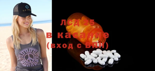 стафф Гатчина