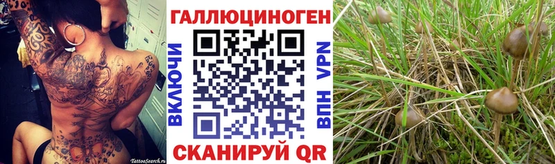 Галлюциногенные грибы прущие грибы  как найти наркотики  Великие Луки 