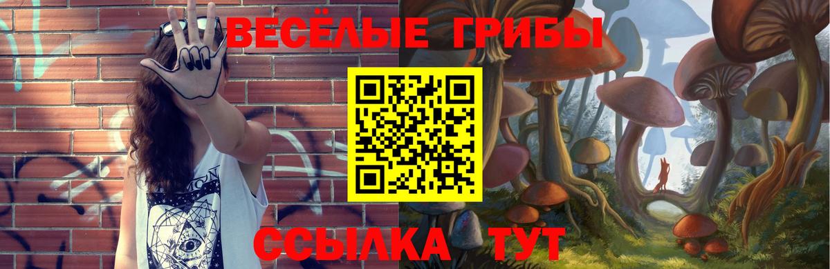 Галлюциногенные грибы мухоморы Великие Луки