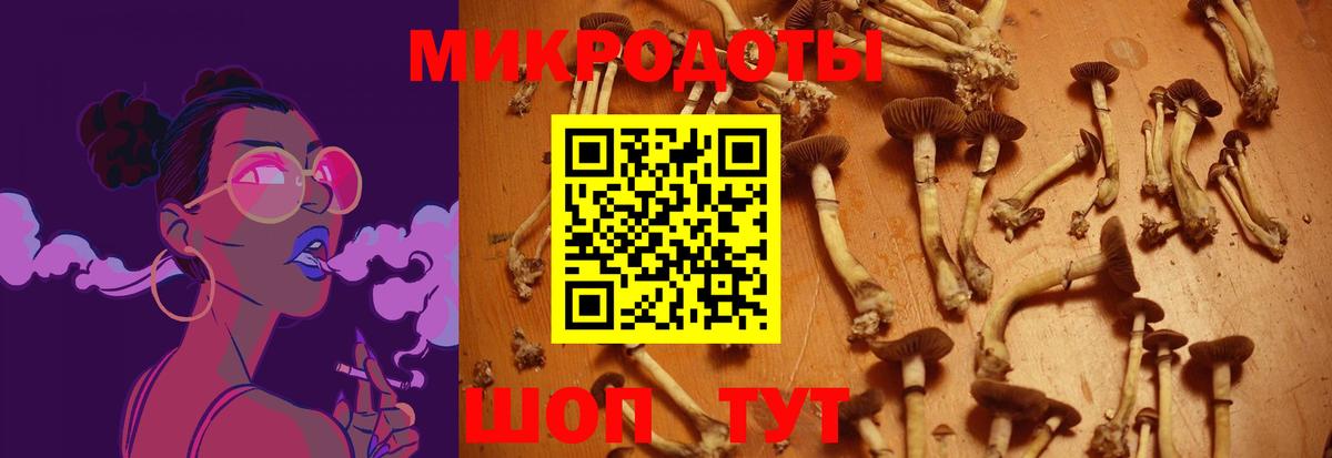 Псилоцибиновые грибы ЛСД  цены   Галлюциногенные грибы ЛСД  Великие Луки 