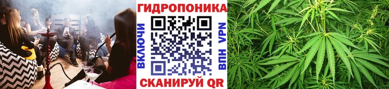 Бошки Шишки AK-47 Великие Луки